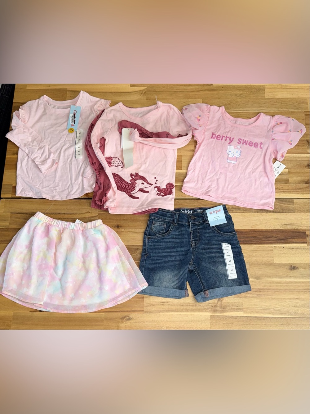 NWT toddler girl clothes bundle 5T